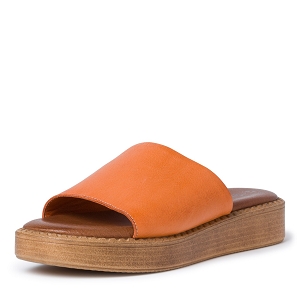 22405-24-ESCARPIN 27236-34-MULE:Orange