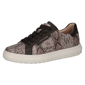  73640-45-LACETS<br>Marron