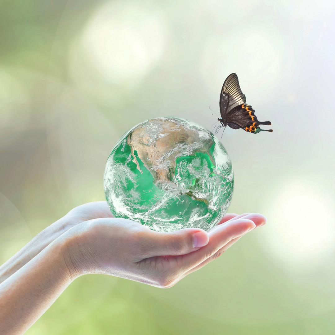 recycle usé filière seconde main